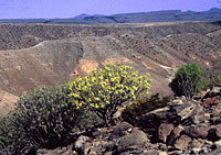 Gran Canaria