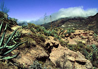 Gran Canaria