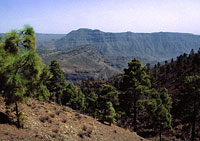 Gran Canaria