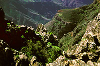 La Gomera