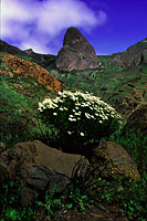 La Gomera