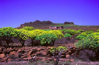 La Gomera