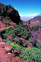 La Gomera