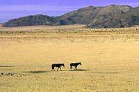 Namibia