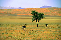 Namibia