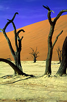 Namibia