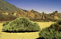 Roques de García