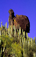 Teno-Montaña de Guama