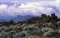 Teide - Montaña de la Cruz de Tea