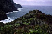 Playa de Tamadite