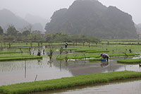 Tam Coc Village