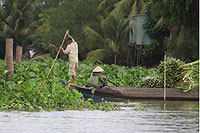 Mekong